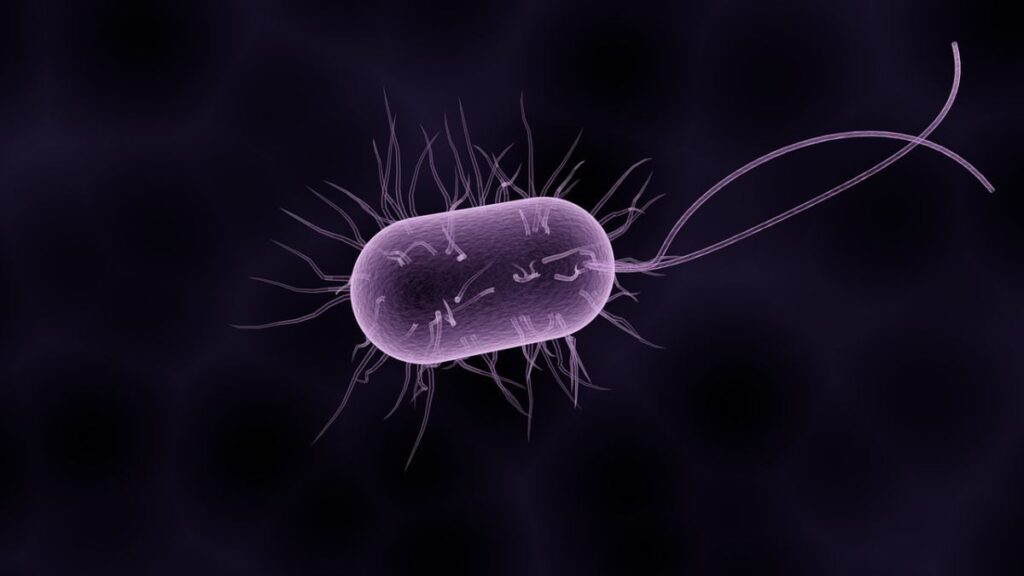 Life on Mars? Studies Suggest Bacteria-Like Organisms Could Exist Life on Mars? Studies Suggest Bacteria-Like Organisms Could Exist