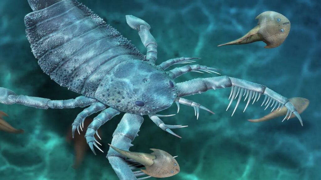 125-Million-Year-Old Scorpion Fossil Discovered in China, Shedding Light on Mesozoic-Era Predators