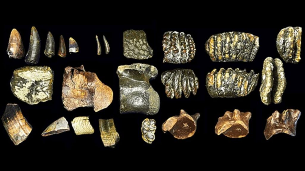 800-Year-Old Mummy Reveals Unusual Facial Tattoos Made from Rare Minerals 800-Year-Old Mummy Reveals Unusual Facial Tattoos Made from Rare Minerals