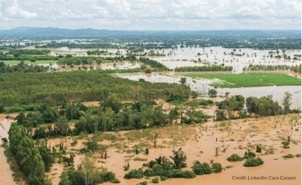 9 out of 10 farmers affected by NSW flood are uninsured