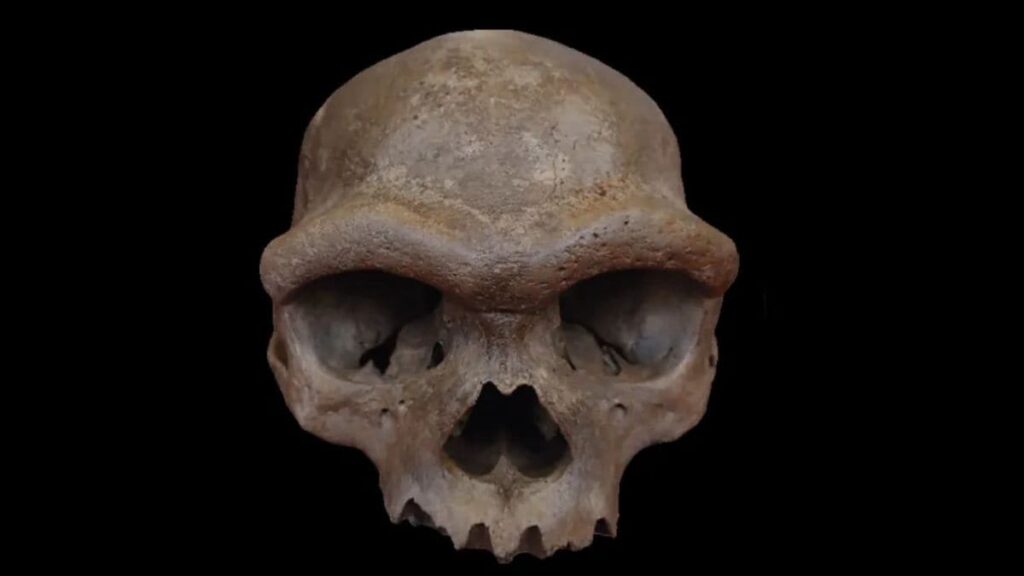 China’s Dragon Man Skull Found to Belong to Denisovan Lineage