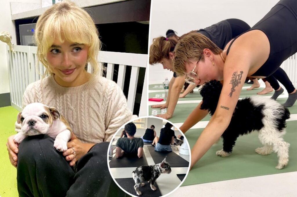 ‘Puppy therapy’ is the workout trend with extra feel-good benefits